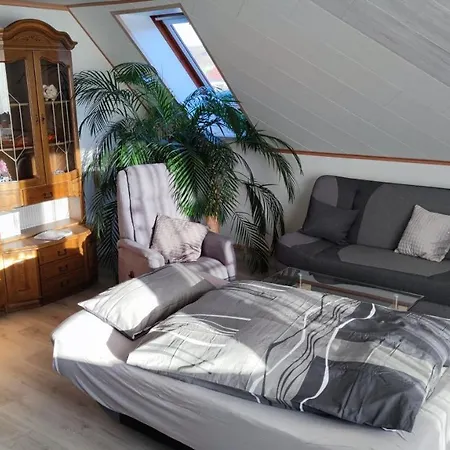 Mones Monteur- Und Apartmán *