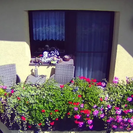 Mones Monteur- Und *