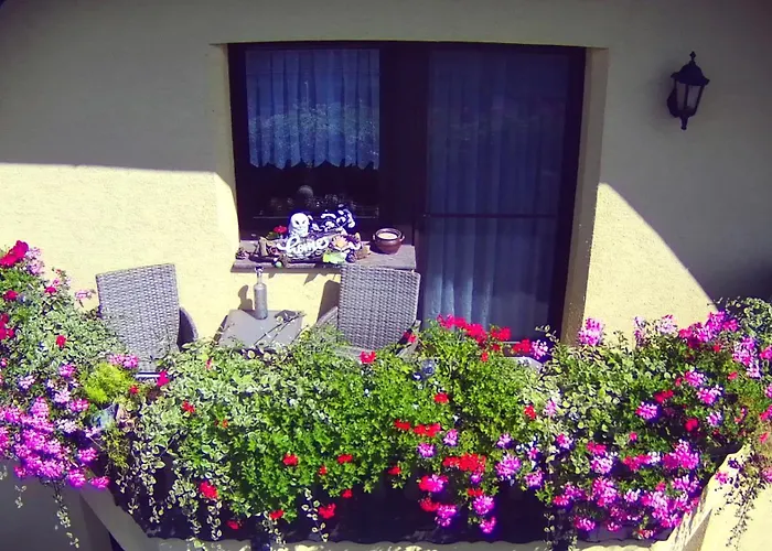 Mones Monteur- Und *